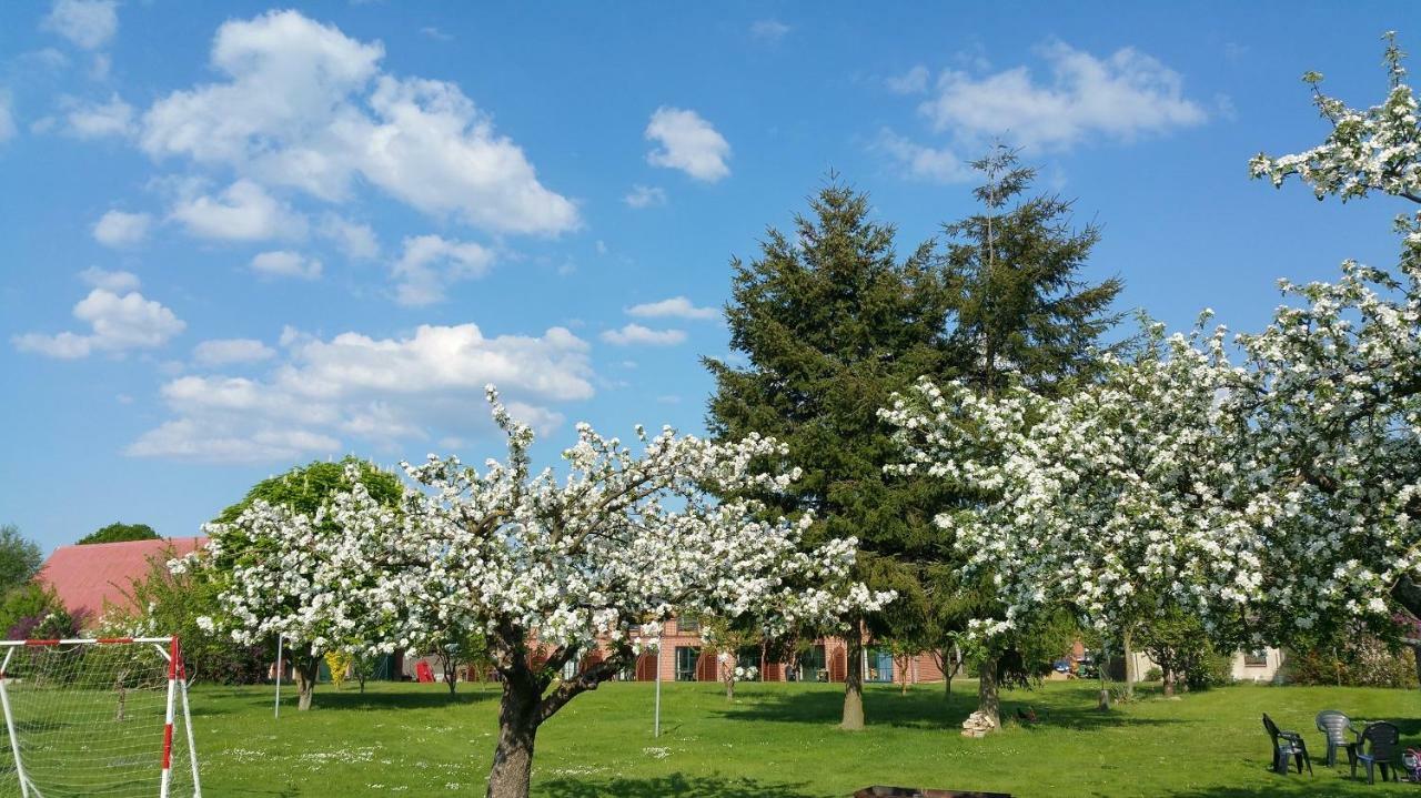 Landferienhof "Mueritzufer" Ludorf Kültér fotó